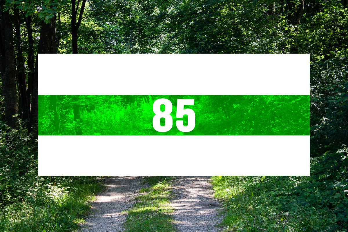 zöld85